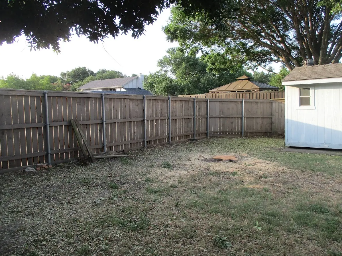 Cleared yard after professional tree removal in Pleasureville