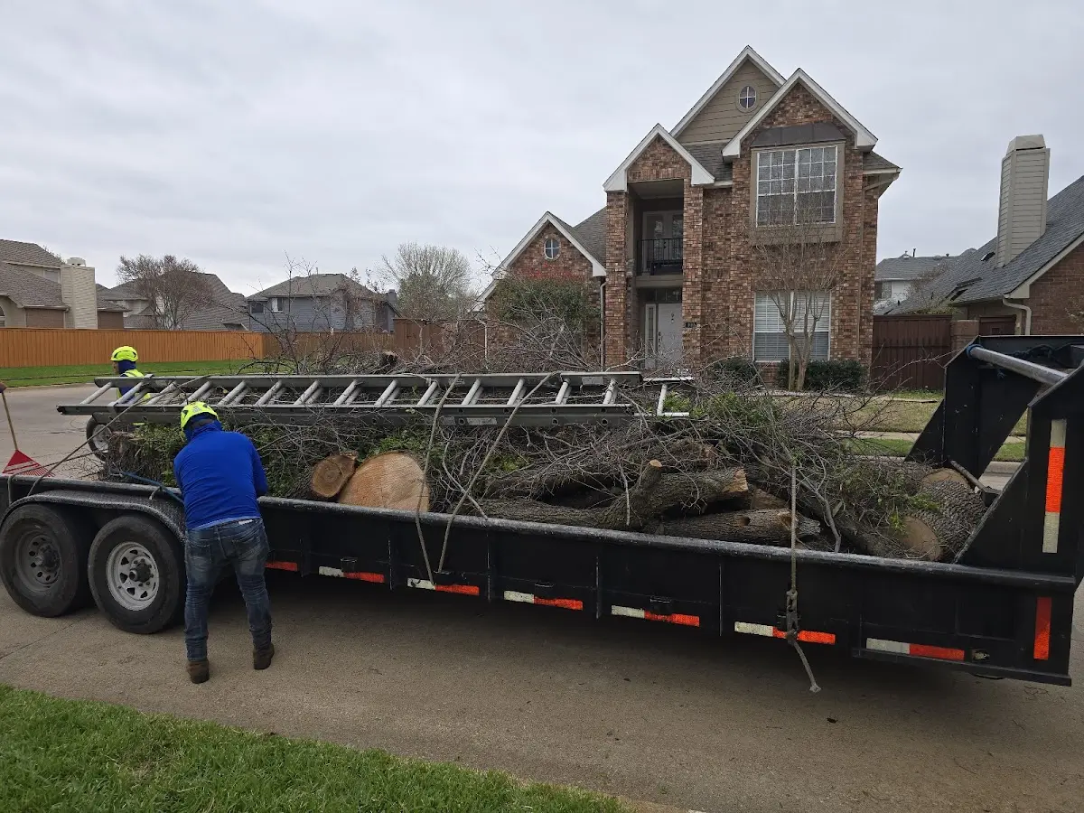 Expert Tree Fertilization with proper safety equipment in Pleasureville